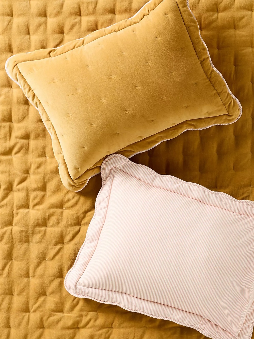 Anthropologie Abbott Cotton Velvet Solid Scalloped Shams, Set of 2